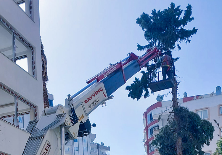 Kiralık vin&ccedil; ile ağa&ccedil; budama